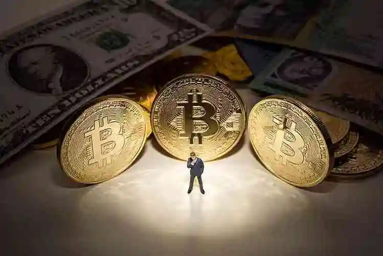 A mining farm powered by solar panels.