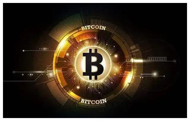 Inside a bustling South African mining farm, showcasing rows of rigs that transformed retail dreams into reality